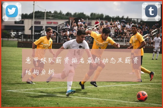 意甲球队薪资排名最新动态及薪资结构分析